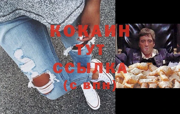 стаф Алексин