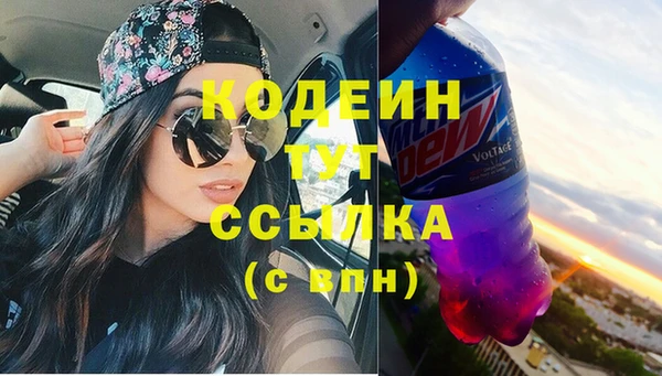 прущий лед Алзамай