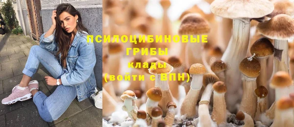 МДПВ Алексеевка