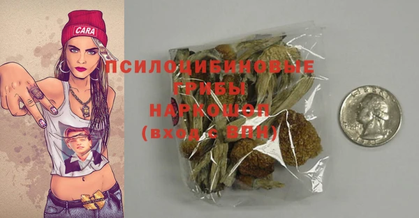 МДПВ Алексеевка