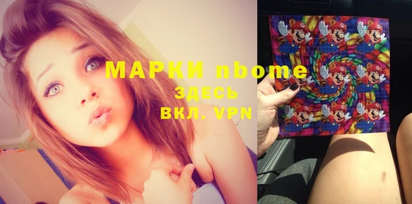 прущий лед Алзамай