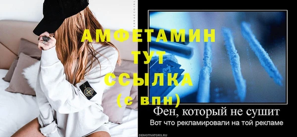 стаф Алексин
