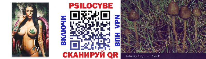 Галлюциногенные грибы Psilocybine cubensis  Оленегорск 